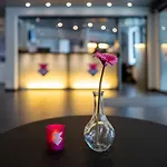 Hotel Cabinn Vejle